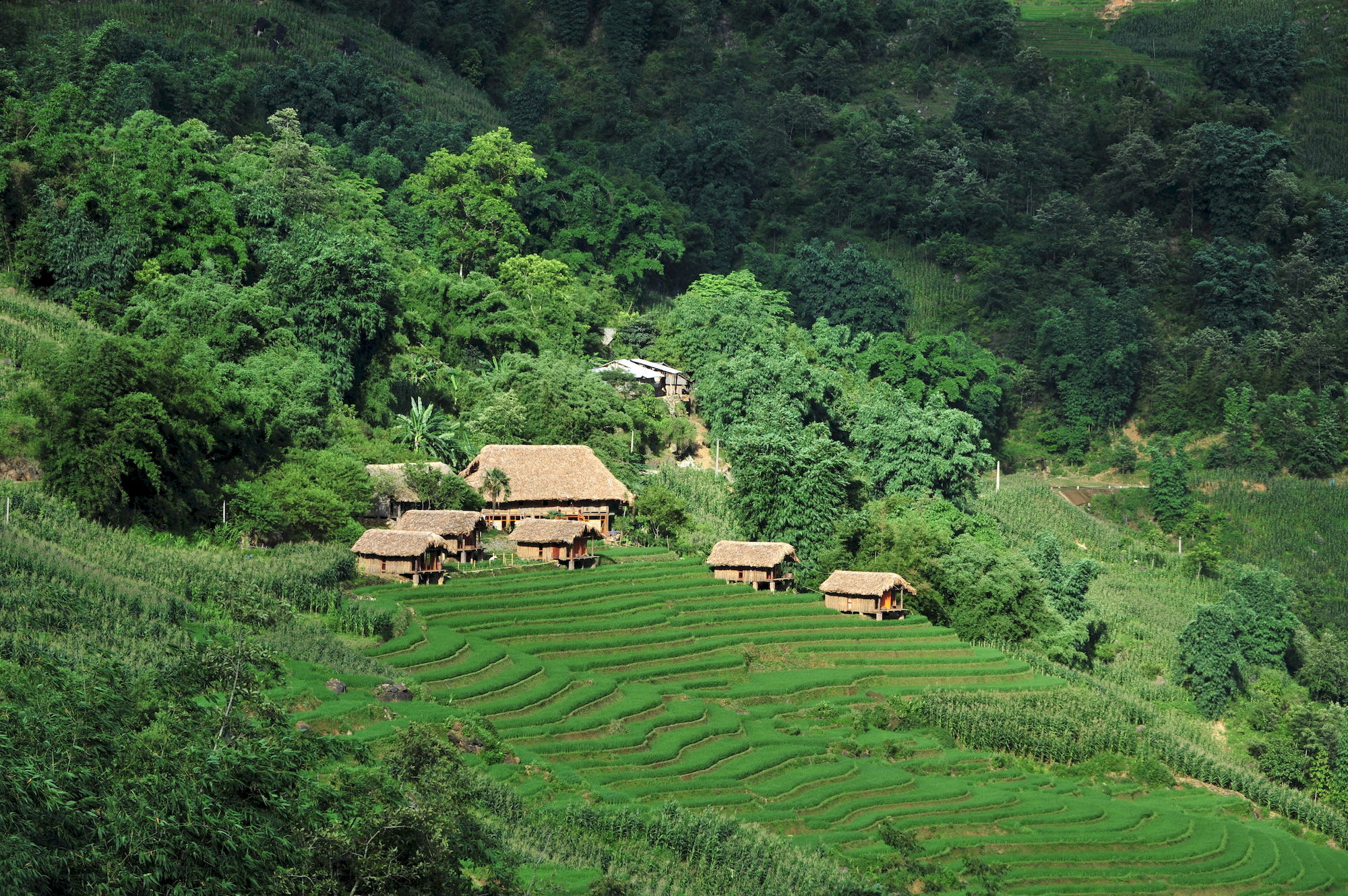 فندق Eco Palms House - Sapa Retreat المظهر الخارجي الصورة
